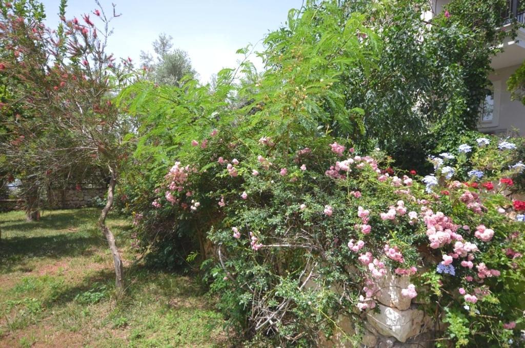 Villa Leton Kleo - Kalkan Center מראה חיצוני תמונה